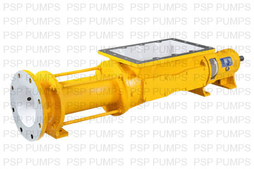 Progressive Cavity Pump