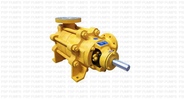 PSP Horizontal Multistage Pump
